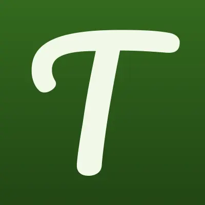 Топ Системы, компания, лого-визитка